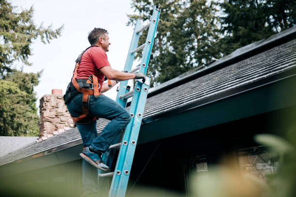 Best Siding  in Kaibito, AZ